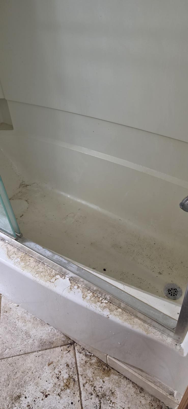Before cleaning